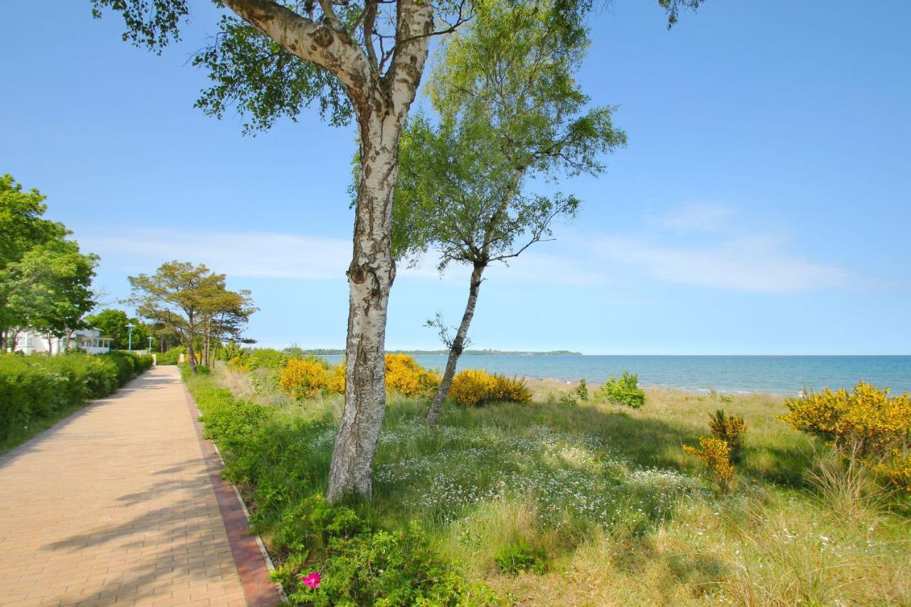 Residenz Mare Baltikum Fewo 3 - Strandnah, Terrasse, Sauna ยูลิอุสรู ภายนอก รูปภาพ